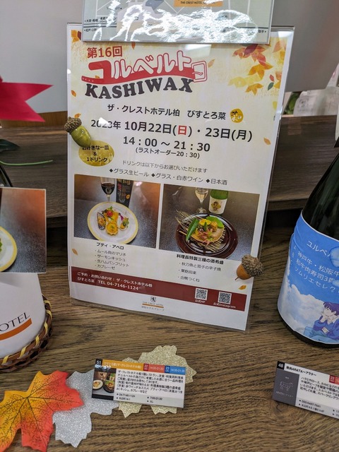PXL_20231016_060420741