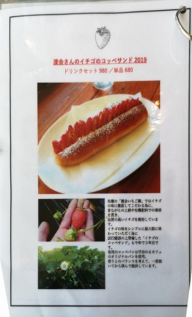 イメージ 19