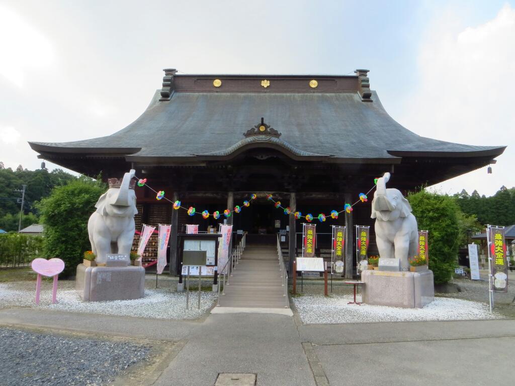 吉ゾウくんに会いに行く 長福寿寺 千葉県長生郡 Tomohiro4576のblog 吉ゾウくんに会いに行く 長福寿寺 千葉県長生郡 Tomohiro4576のblog