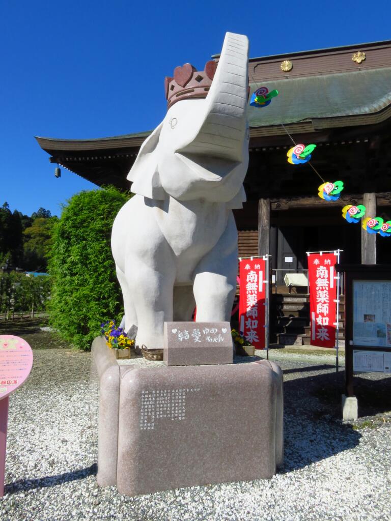 吉ゾウくん 結愛ちゃん 長福寿寺さまの開運写真 4 Tomohiro4576のblog