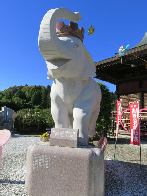 rps20151128_215903