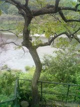 8d074a25.jpg