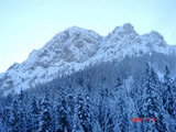 DSC00436
