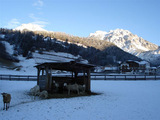 DSC00258