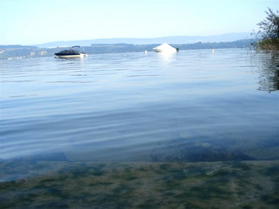 15morninglake