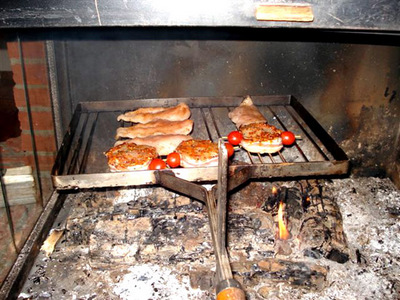 006fleisch1