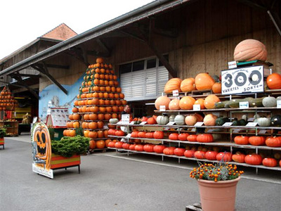 06pumpkin