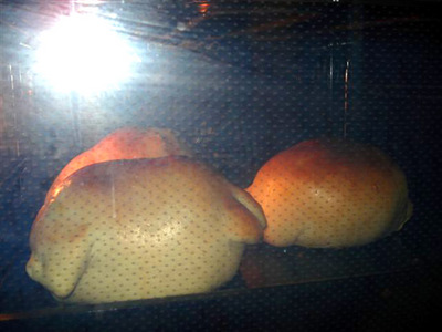 008fleisch2
