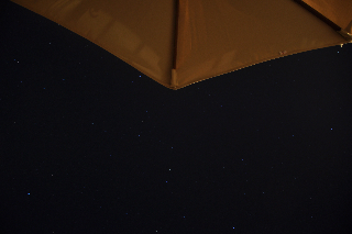 DSC_0543