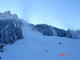 DSC00431