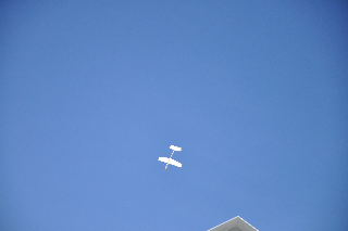 DSC_0488