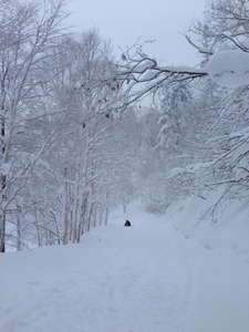 写真 3