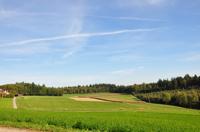 DSC_0048