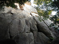 DSCN7241
