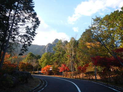 DSCN7216