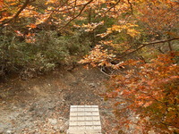 DSCN8469