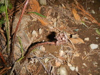 DSCN8547