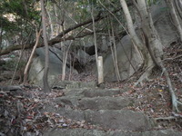 DSCN7248