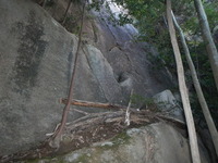 DSCN7245