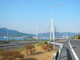 DSCN7206