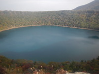DSCN8443