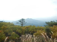 DSCN8444