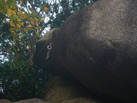 DSCN7244