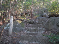 DSCN7239