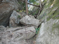DSCN7275