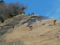 DSCN8552
