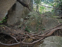 DSCN7276