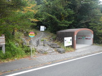 DSCN8434
