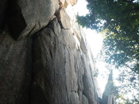 DSCN7242