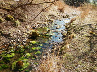 DSCN8553