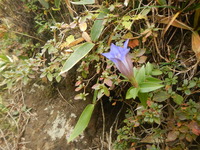 DSCN8472