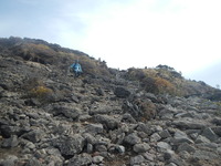 DSCN8447