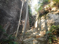 DSCN7256
