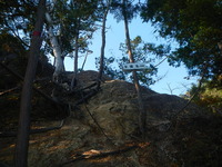 DSCN7264