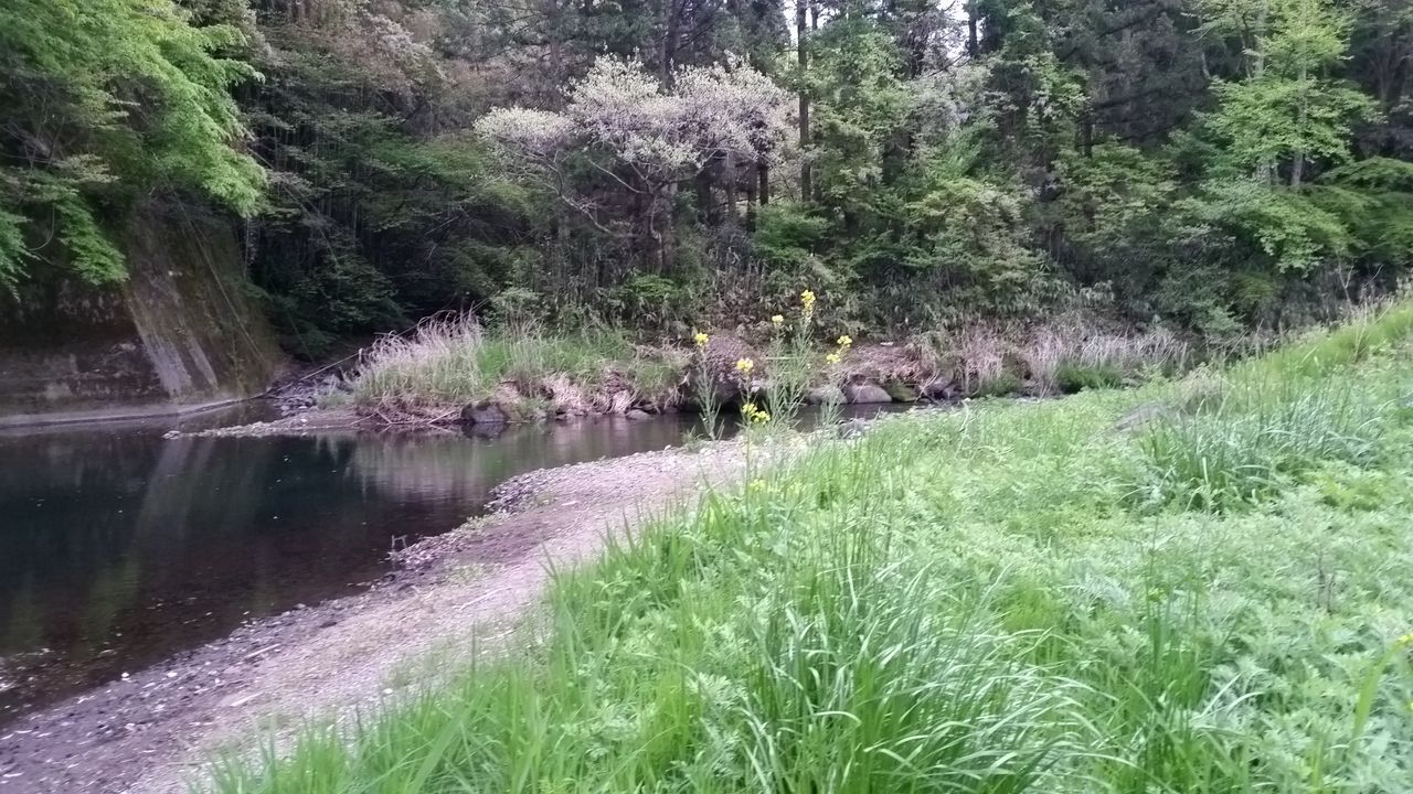 カヤックフィッシング 15 05 06 Gw釣行記 旅するカヤッカーin Kyushu Kayak Fishing Journeys カヤックフィッシング 15 05 06 Gw釣行記 旅するカヤッカーin Kyushu Kayak Fishing Journeys
