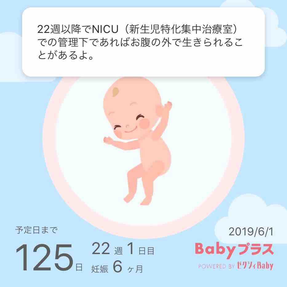 22週の壁 突破 ディズニー大好き女の ふわり気まぐれ日記