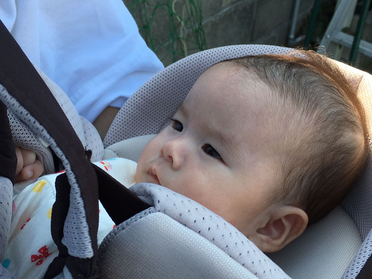 ドラマエキストラのことちゃん ごましおコロコロ ドラマエキストラのことちゃん ごましおコロコロ