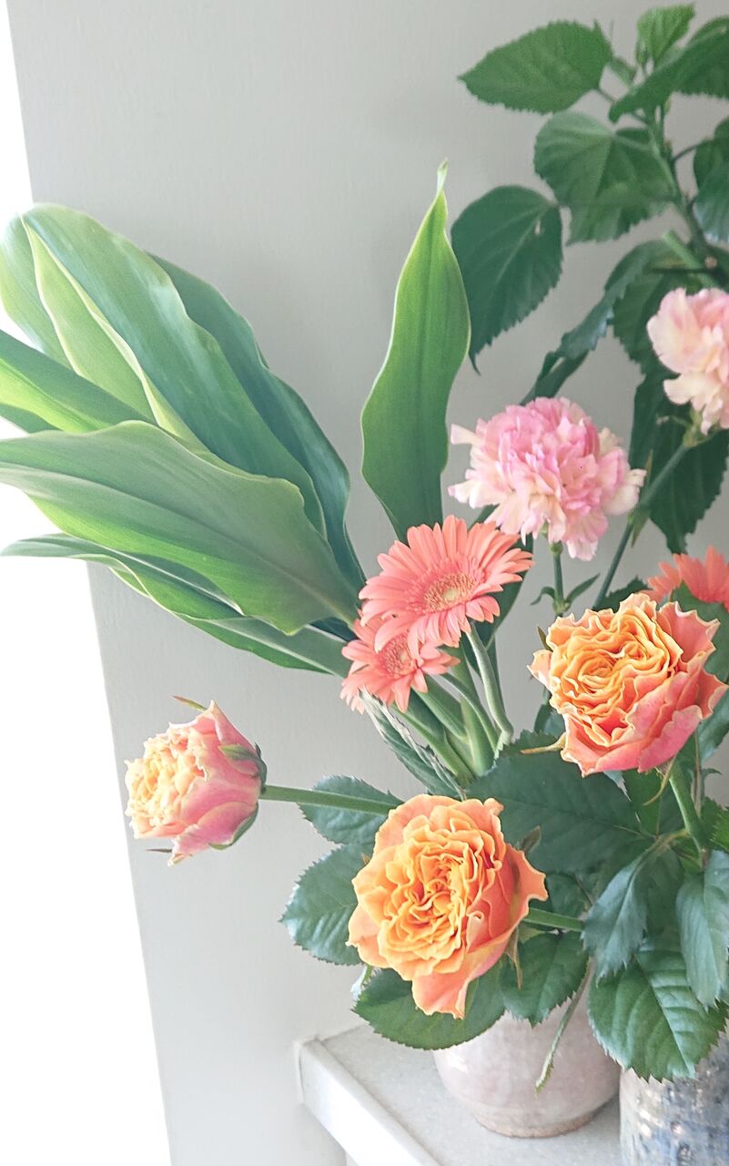 愛と調和の世界 そ っとのぞいてみてごら ん