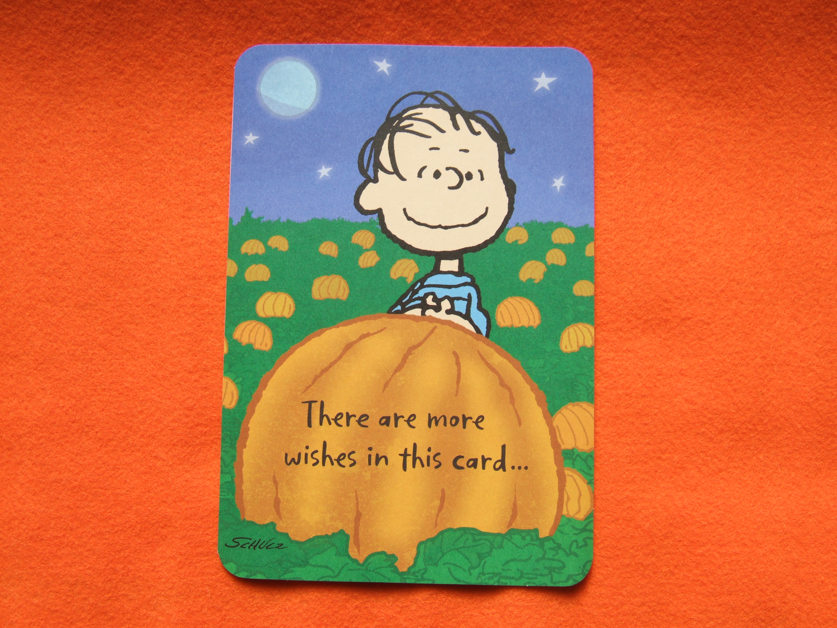 ハロウィン その6 ともこ ともこ ともこ