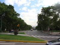 DSC07751
