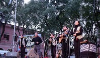las_voces_blancas