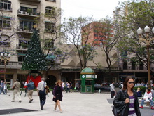 DSC07450