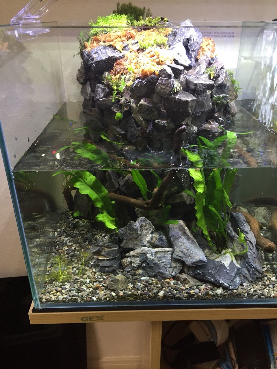 滝のアクア岩リウム 安価リウム