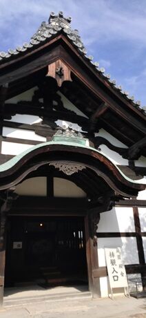 IMG20240608155835