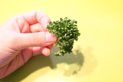 パセリとごまチーズおにぎり (3)