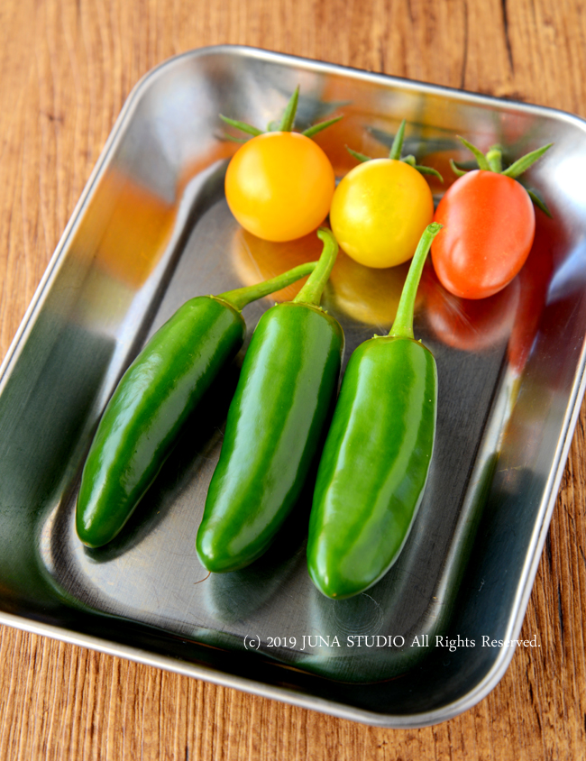veg0619